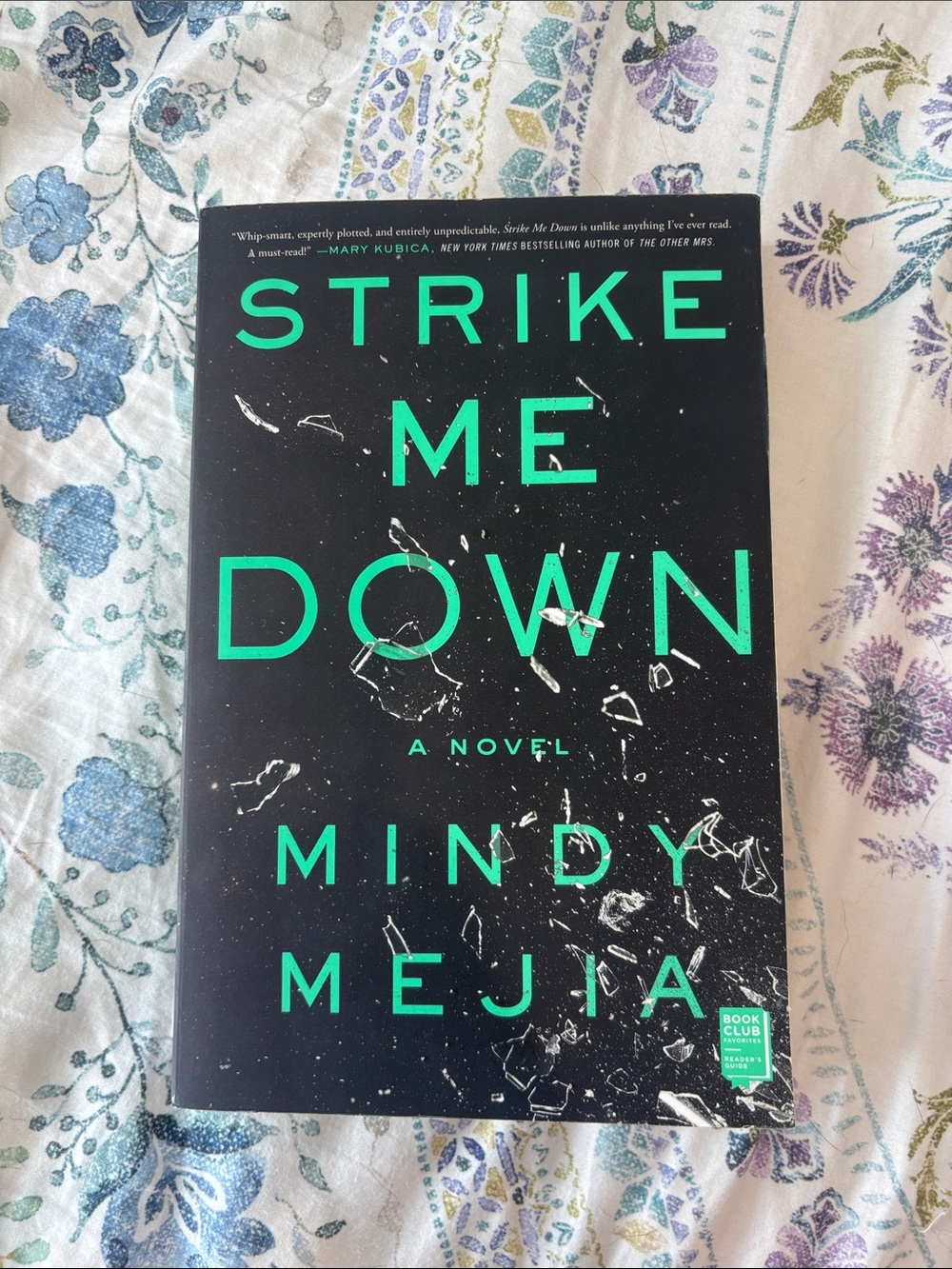 Strike Me Down by Mindy Mejia Book